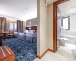 Shaza Regency Plaza thumbnail